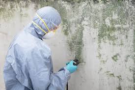 Mold Documentation for Insurance Claims in East San Gabriel, CA